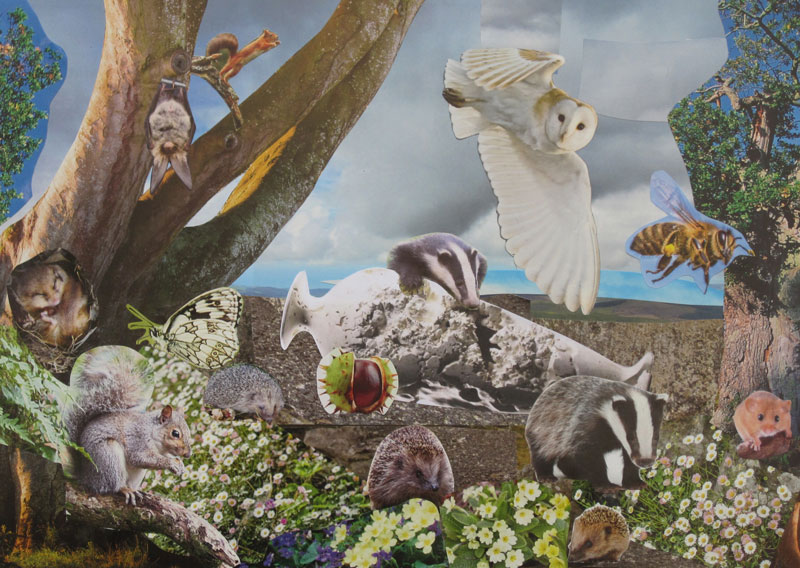 Response to <em>Oh Beautiful World!</em> by Eleanor Lakelin Nature in abundance